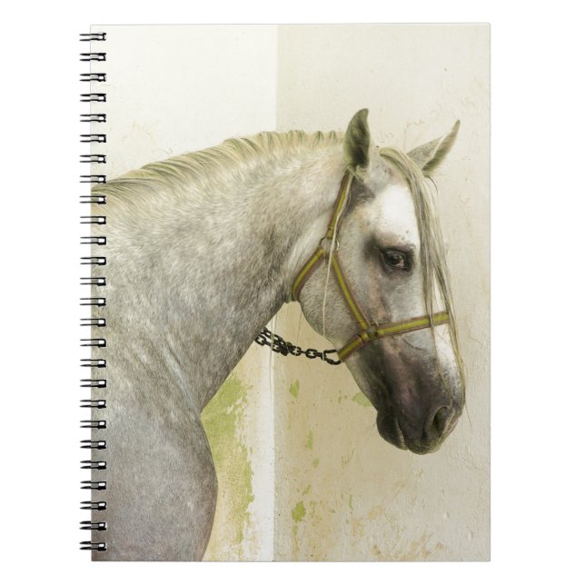 Dapple Grått Andalusien Horse Anteckningsbok (Framsidan)