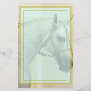 Dapple Grått Andalusien Horse Brevpapper