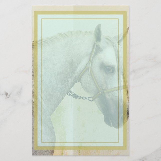 Dapple Grått Andalusien Horse Brevpapper (Framsida)