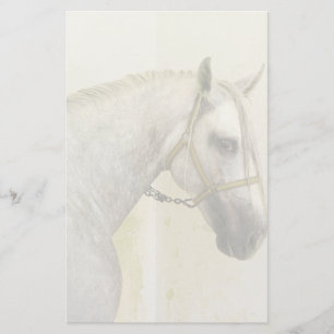 Dapple Grått Andalusien Horse Brevpapper