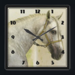 Dapple Grått Andalusien Horse Fyrkantig Klocka<br><div class="desc">En söt dapple-grått-andalusisk häst. Med en grönaktig gult gris som är fastkedjad vid väggen och som står inuti en stall. Detta vackra djur står i profil och har ett stort, brunt öga och ett glansigt grått-muzzel. Hans extra långa gråvita förlås hänger sig kring ansikte och hans blonda mane hänger på...</div>