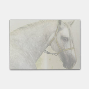 Dapple Grått Andalusien Horse Post-it Block