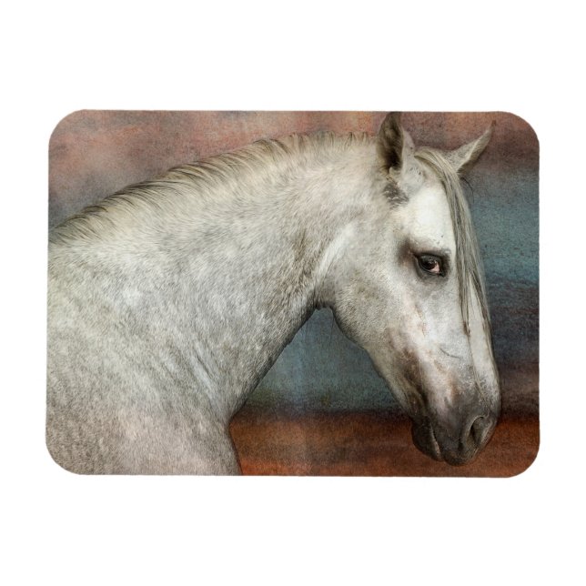 Dapple Grått Andalusisk Horse Porträtt Magnet (Horisontell)
