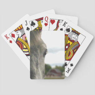 Dapple Grått Draft Horse Öga  Casinokort