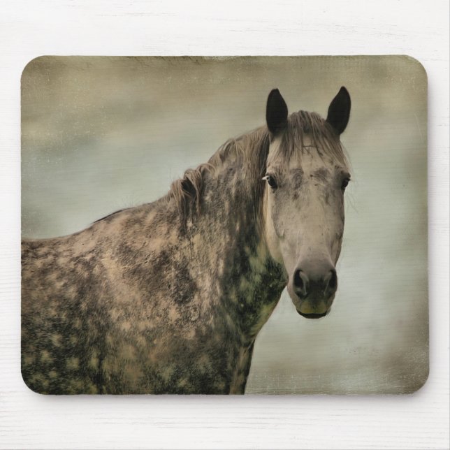 Dapple Grått Horse Head Mouse Pad Musmatta (Framsidan)