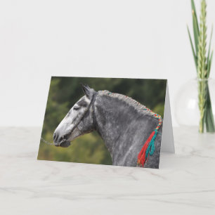Dapple grått Percheron Hästfödelsedag Kort