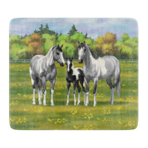 Dapple Grått Pinto Paint Horses in Summer Pastor