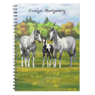 Dapple Grått Pinto Paint Horses in Summer Pastor Anteckningsbok