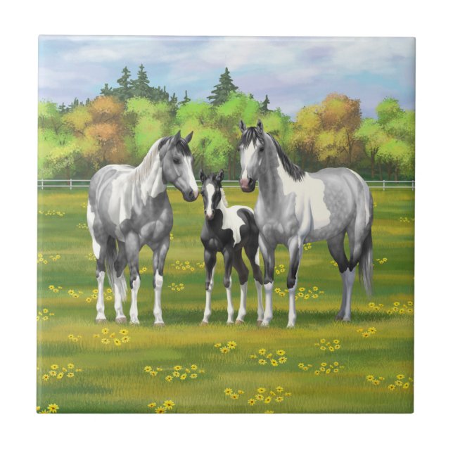 Dapple Grått Pinto Paint Horses in Summer Pastor Kakelplatta (Framsidan)