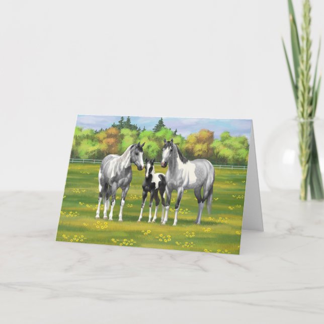Dapple Grått Pinto Paint Horses in Summer Pastor Kort (Framsida)