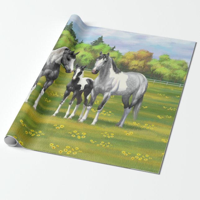 Dapple Grått Pinto Paint Horses in Summer Pastor Presentpapper (Utrullad)