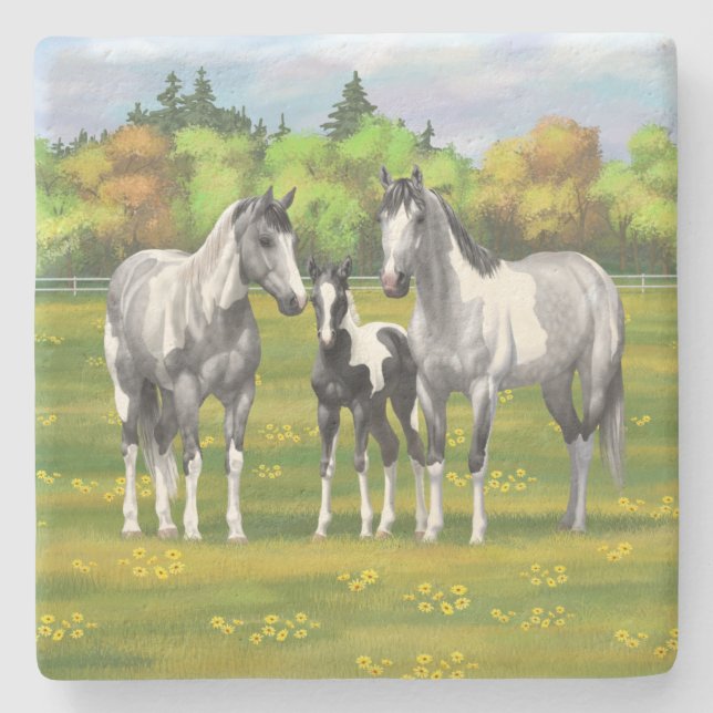 Dapple Grått Pinto Paint Horses in Summer Pastor Stenunderlägg (Framsidan)