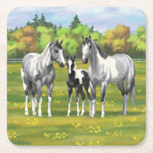 Dapple Grått Pinto Paint Horses in Summer Pastor Underlägg Papper Kvadrat