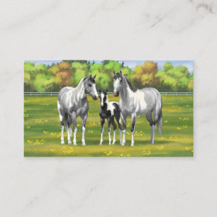 Dapple Grått Pinto Paint Horses in Summer Pastor Visitkort