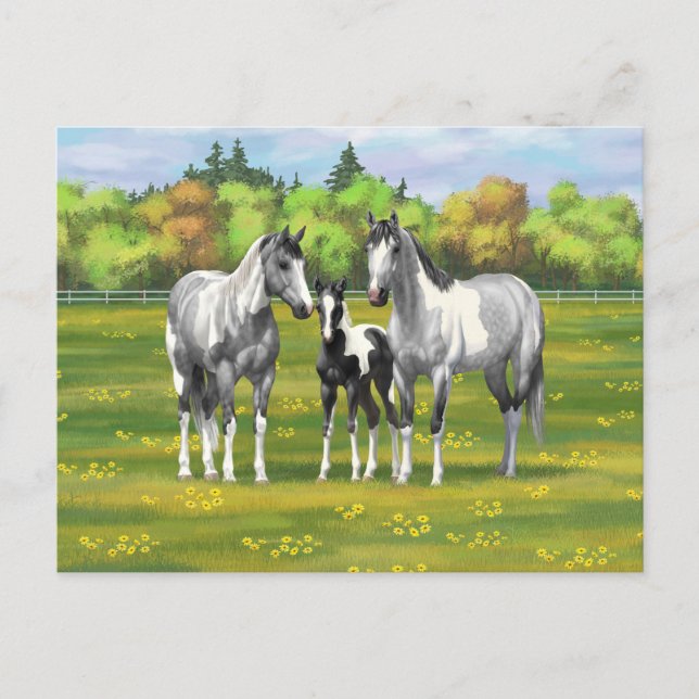 Dapple Grått Pinto Paint Horses in Summer Pastor Vykort (Framsida)