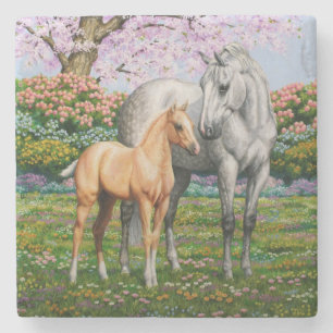Dapple Grått Quarter Horse Mare Palomino Foal Underlägg Sten