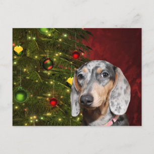 Dappled Dachshund jul Helg Vykort