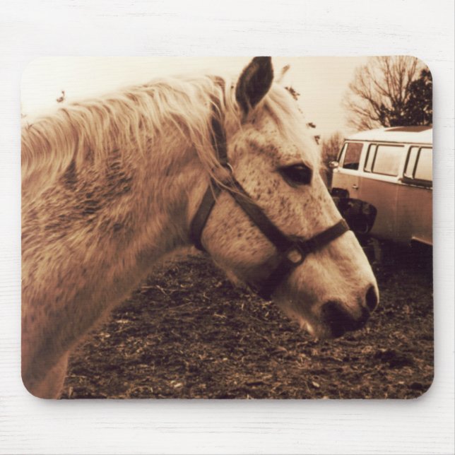 Dappled Horse och Buss Musmatta (Framsidan)