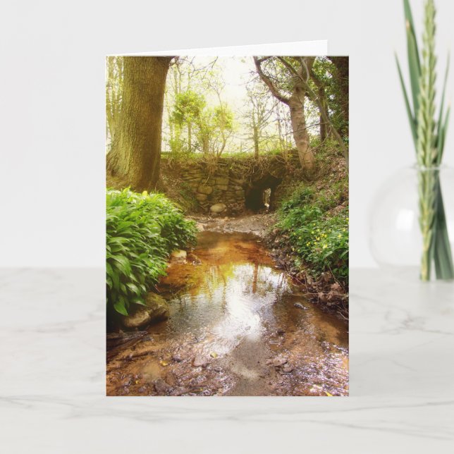 Där älvor spelas upp kort (Framsida)