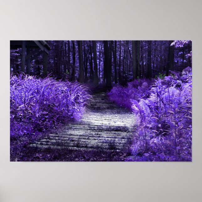 där bilden spelas upp, ramutskrift poster (Framsidan)