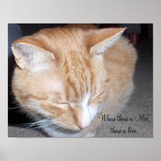 Där det finns Moo... Poster