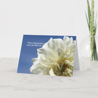 Där hoppet växer kort