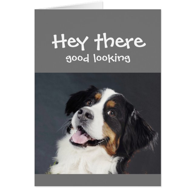 Där Tittar Bra Flirty Birthday Cute Hund Hälsningskort (Framsidan)
