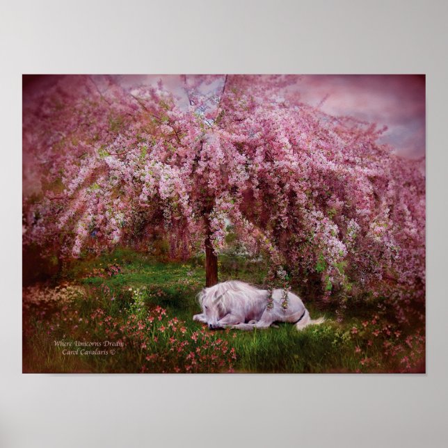 Där Unicorns Dream Art Poster/skriver ut Poster (Framsidan)
