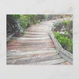 där vägen leder vykort