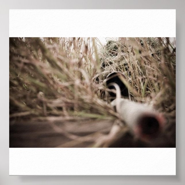 dåraktig poster (Framsidan)