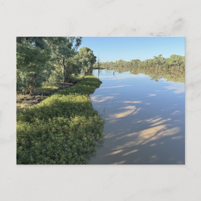 Darby Land Bridge på Warrego River Vykort (Framsida)