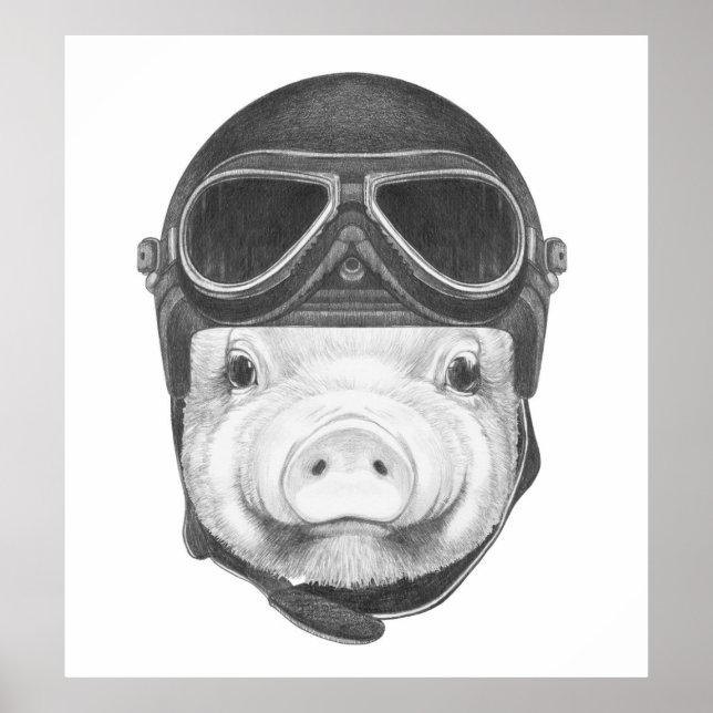 Daredjävska Gris Poster (Framsidan)