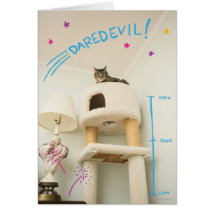 Daredjävulen Cat Hälsningskort