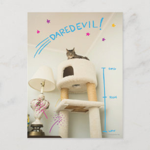 Daredjävulen Cat Vykort