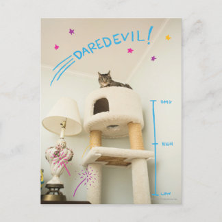 Daredjävulen Cat Vykort