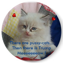 Därefter finns det trumf