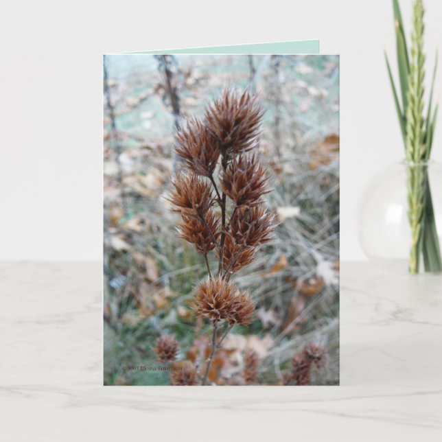 Därefter Kort (Framsida)