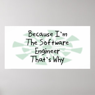 Därför att I-förmiddag softwareingenjören Poster