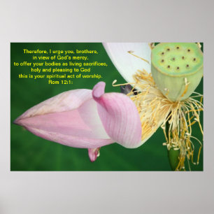 Därför uppmanar jag er, bröder poster
