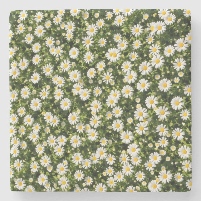 Dårfulla Daisy Äng Underläggsset Stenunderlägg (Framsidan)