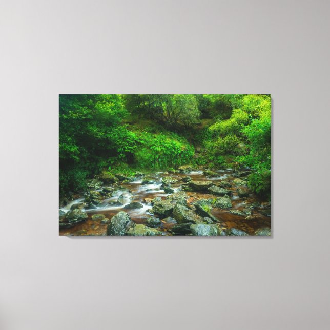 Dargle River Canvas Väggkonst | Irland Frodig Skog (Framsida)