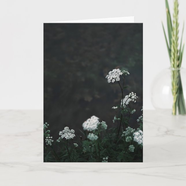 Dark and moody meadow, Sympathy Kort (Framsida)