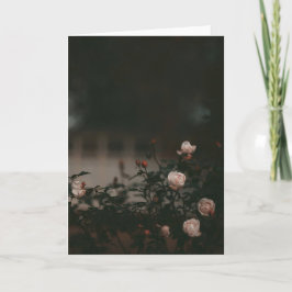 Dark and moody roses in garden Sympathy Kort