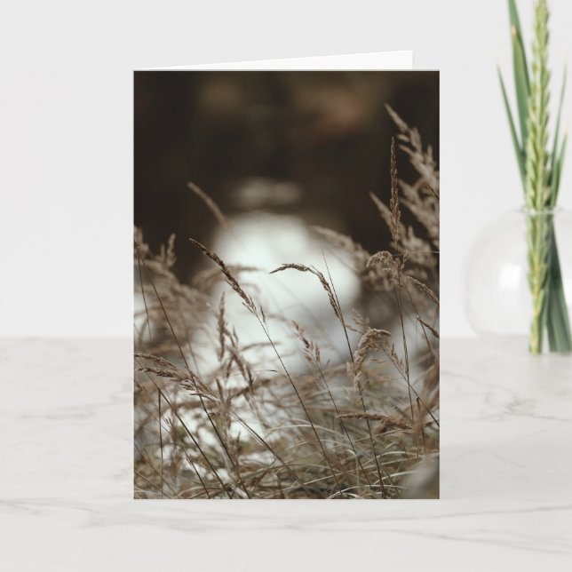 Dark brown and moody grass in wind, Sympathy Kort (Framsida)