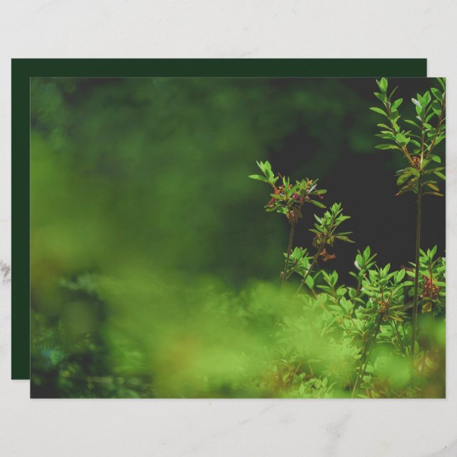 Dark green forest Scrapbook Paper (Fram/baksida)