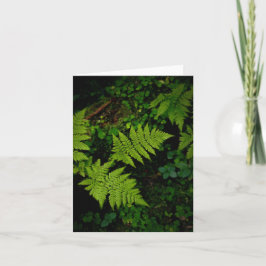 Dark green moody nature theme with ferns kort