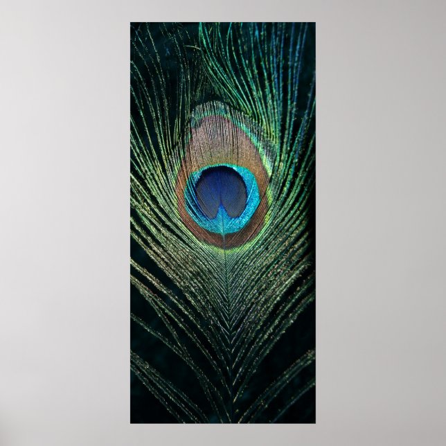 Dark Peacock Feather Still Life Poster (Framsidan)