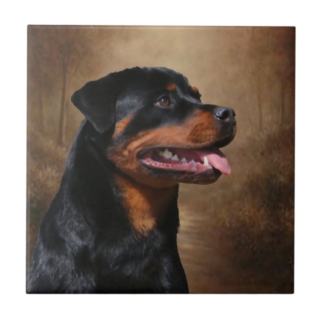 DARK WATERS LADY LIBERTY RED WHITE AND BLEU CHEESE KAKELPLATTA (Framsidan)