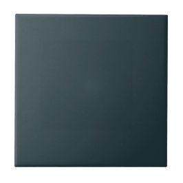 Darkest Nght Teal Square Kitchen and Bathroom Kakelplatta