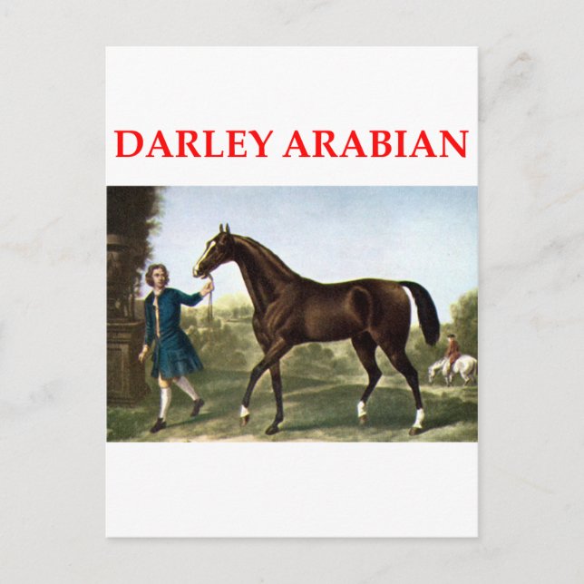 darley arabian vykort (Framsida)